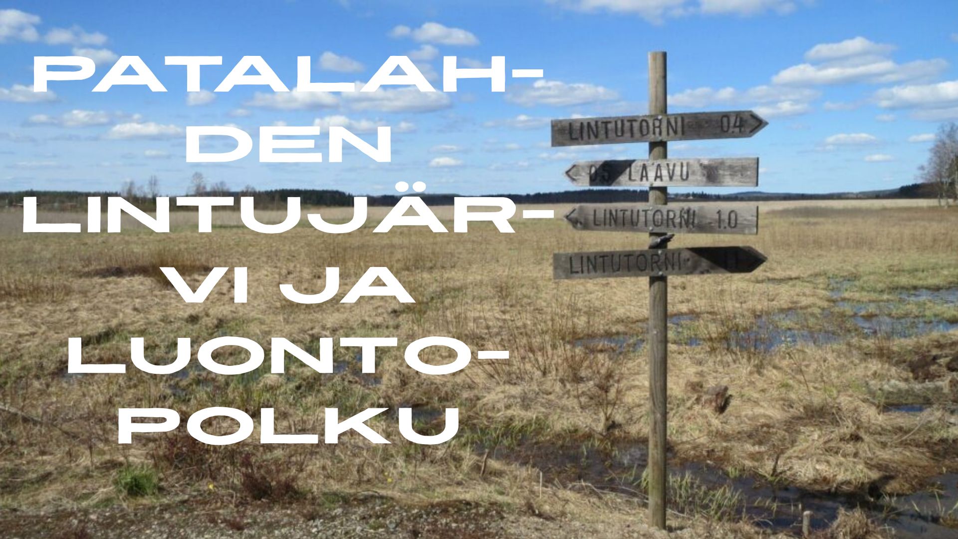 Patalahden lintujärvi, Kuva: Kuopion kaupunki